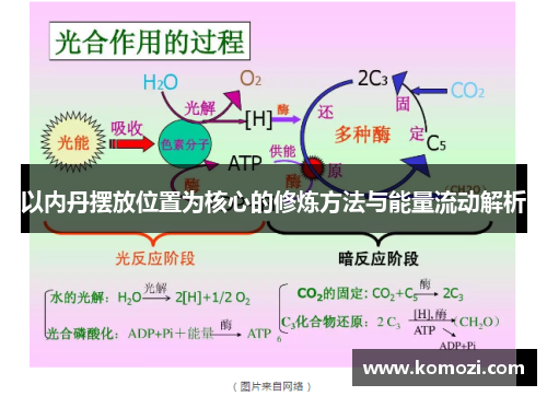 以内丹摆放位置为核心的修炼方法与能量流动解析